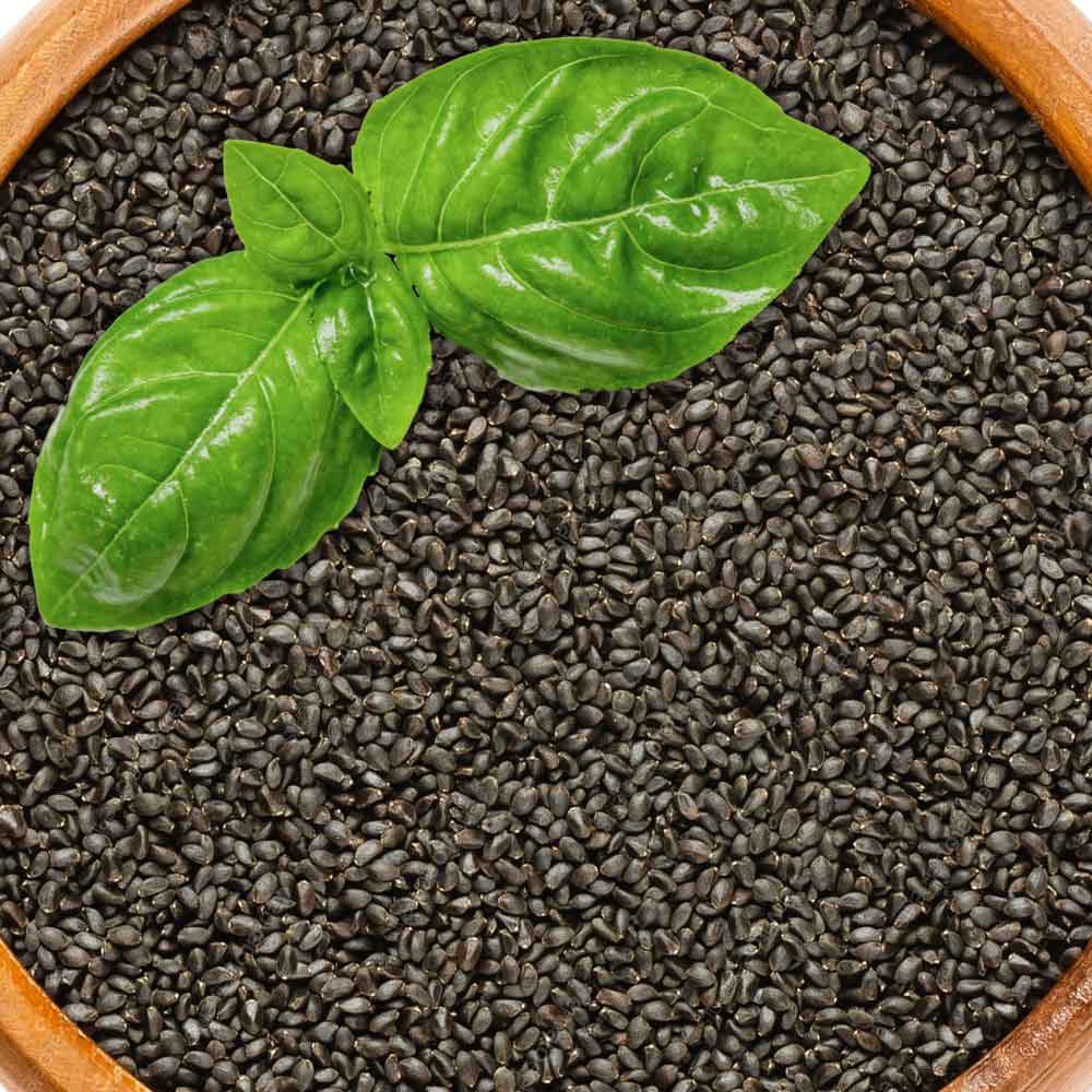 เม็ดแมงลัก