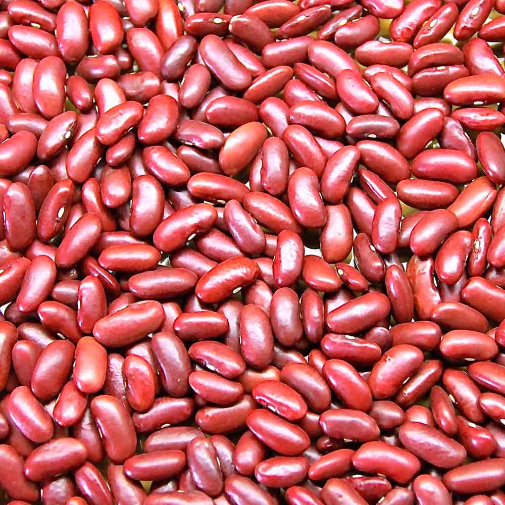 ถั่วแดง