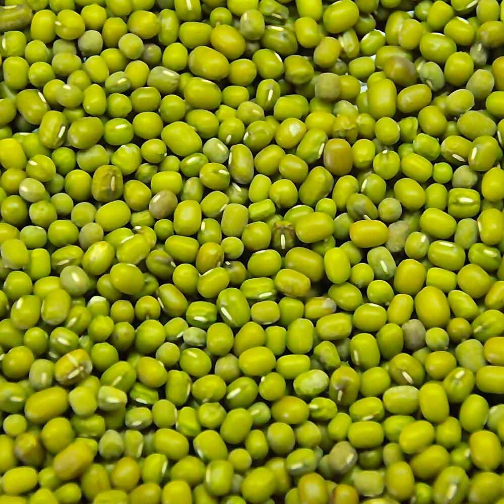 ถั่วเขียว