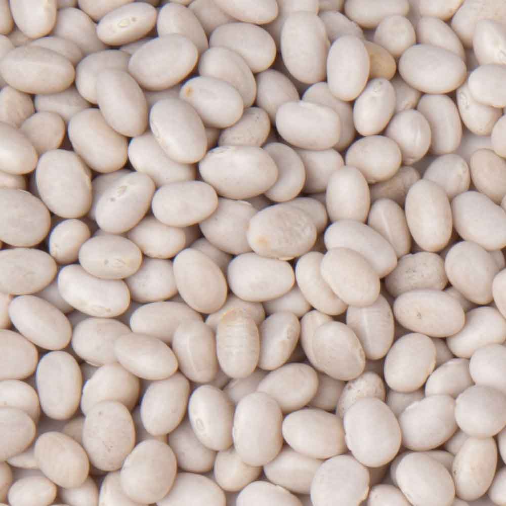 ถั่วขาว