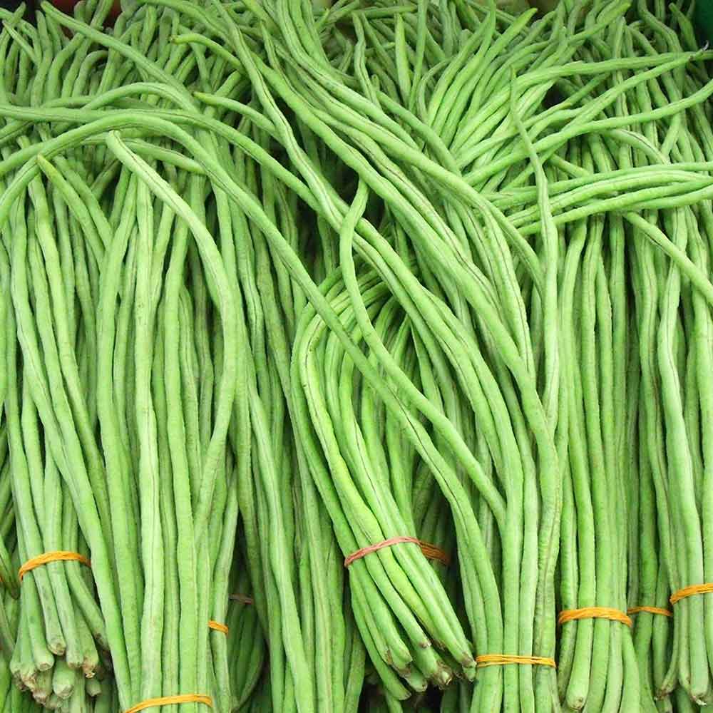 ถั่วฝักยาว