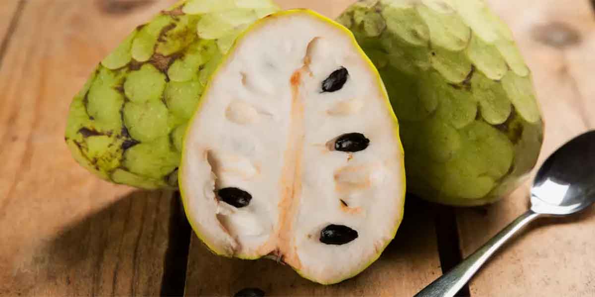 น้อยหน่า