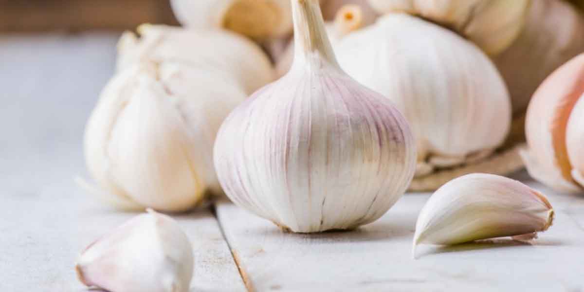 กระเทียม