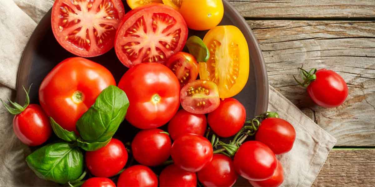 มะเขือเทศ