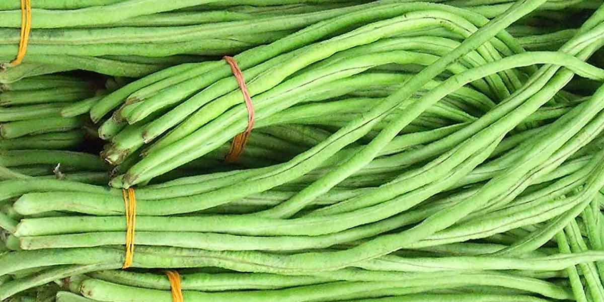 ถั่วฝักยาว